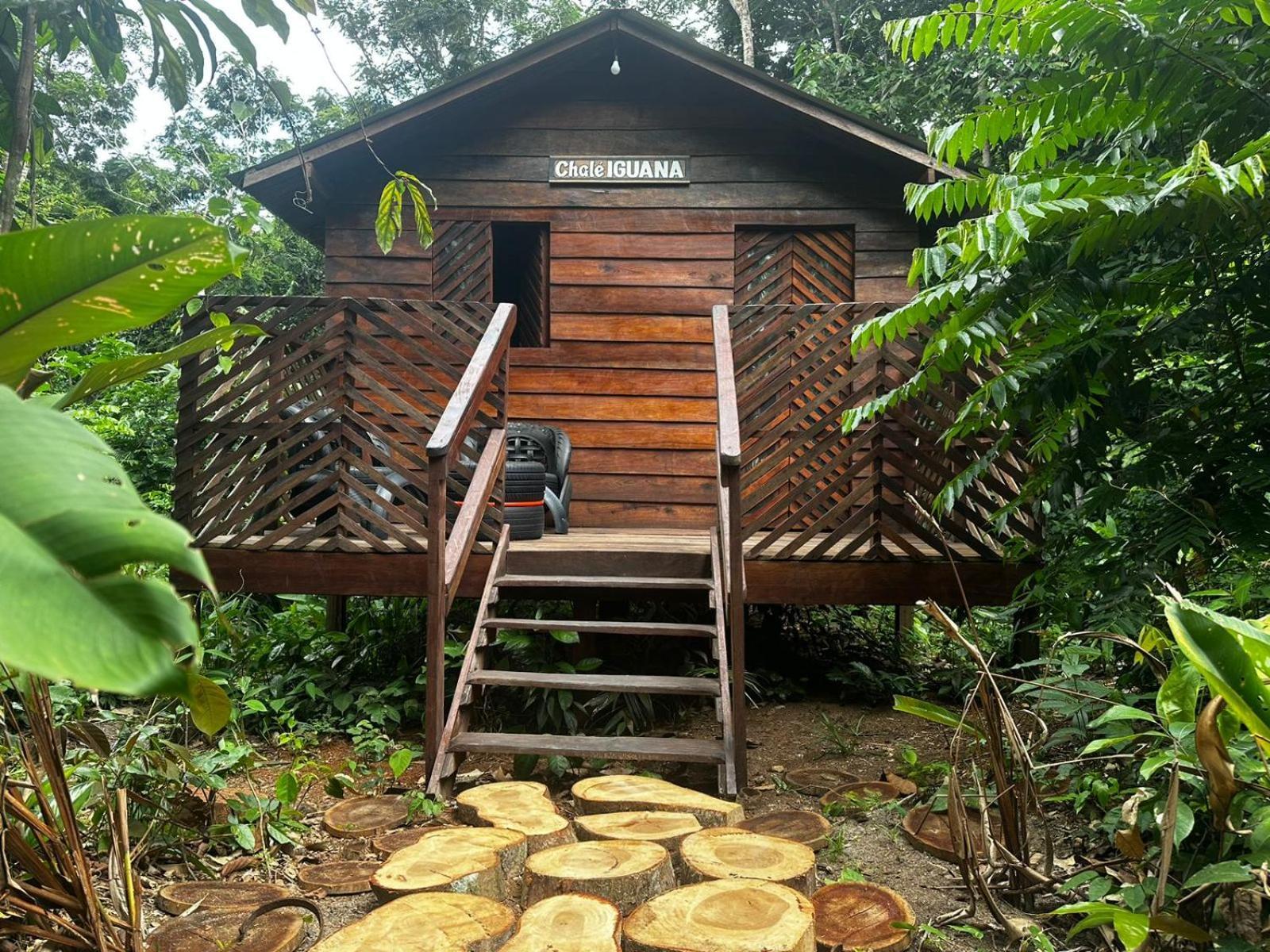 Refugio Samauma Hotell Manaus Exteriör bild