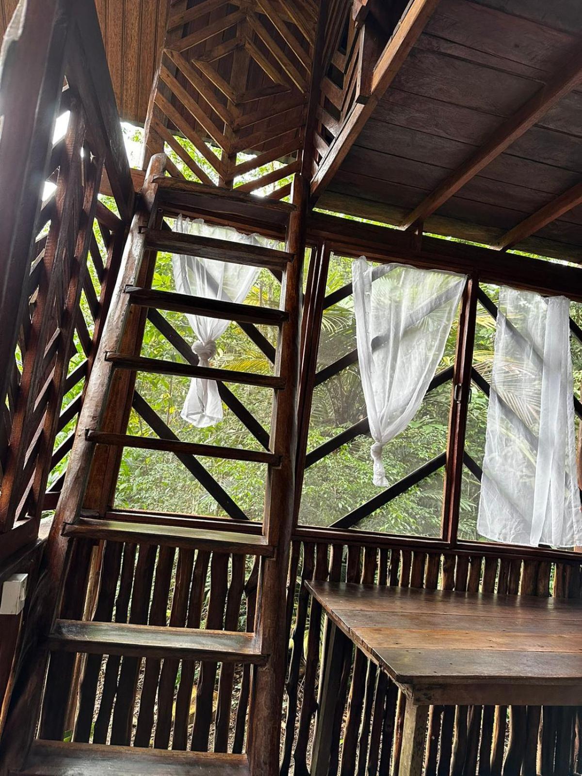 Refugio Samauma Hotell Manaus Exteriör bild